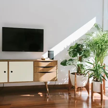 Myo Design House Guest house Porto